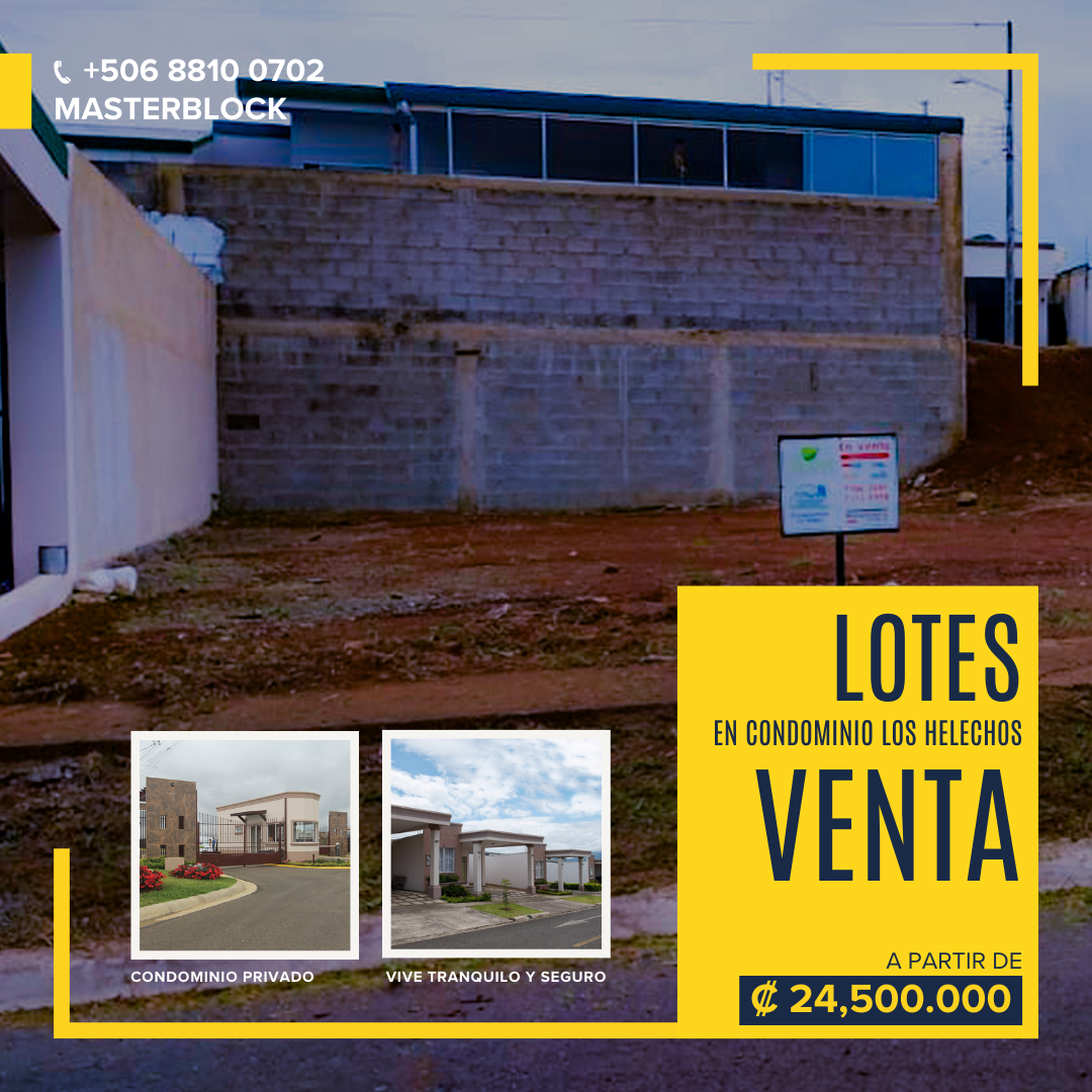 lotes (2)