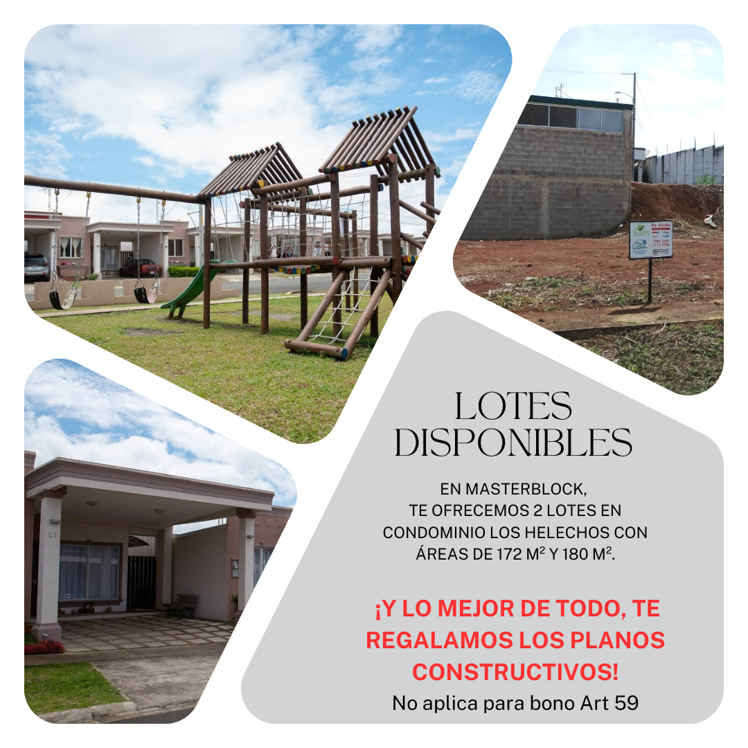 lotes